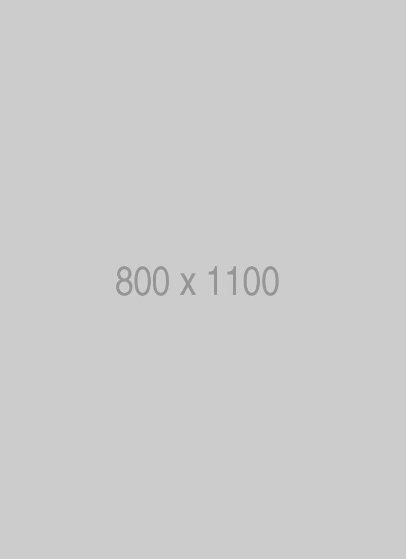 litho-800×1100-ph